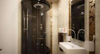 Отель ATFK Hotel Baku Баку Стандартный двухместный номер с 1 кроватью-11